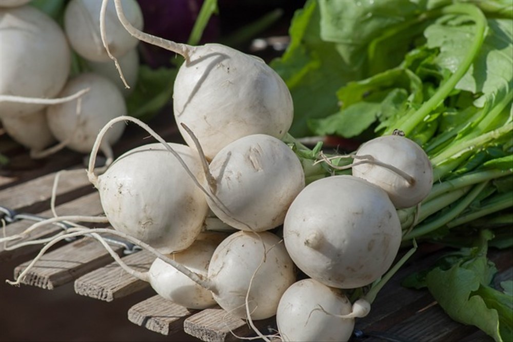 Navets : Bienfaits, Variétés et Recettes à Découvrir